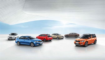 斯柯达品牌喜迎120周年 全球年销量突破百万 中国市场增长26%